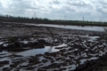 На Львівщині фіксують локальне затоплення посівів на окремих полях