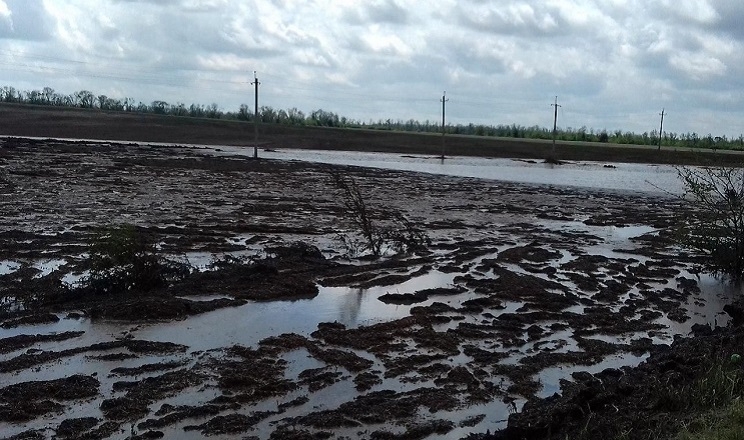 На Львівщині фіксують локальне затоплення посівів на окремих полях