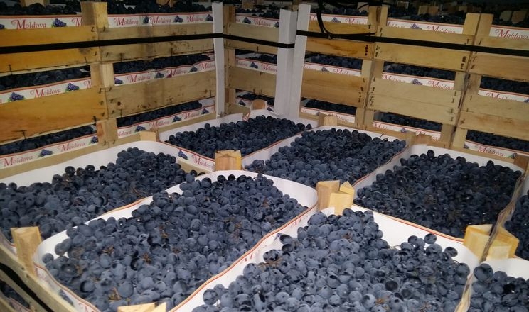Партії винограду при зберіганні не змішують