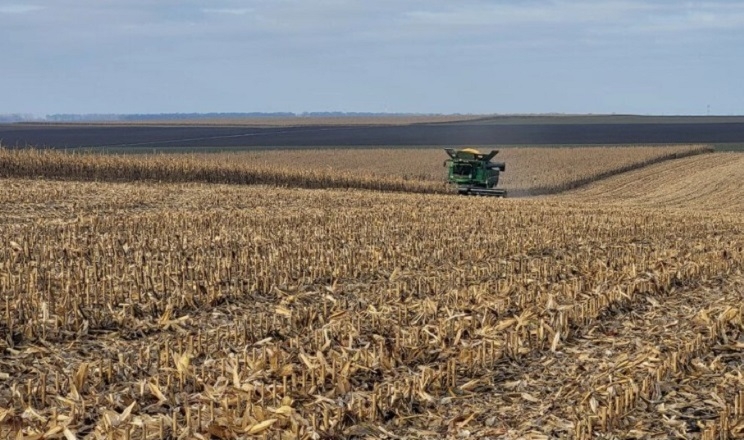 Жнива кукурудзи в «Агротрейд» тривають: урожайність перевищує планову