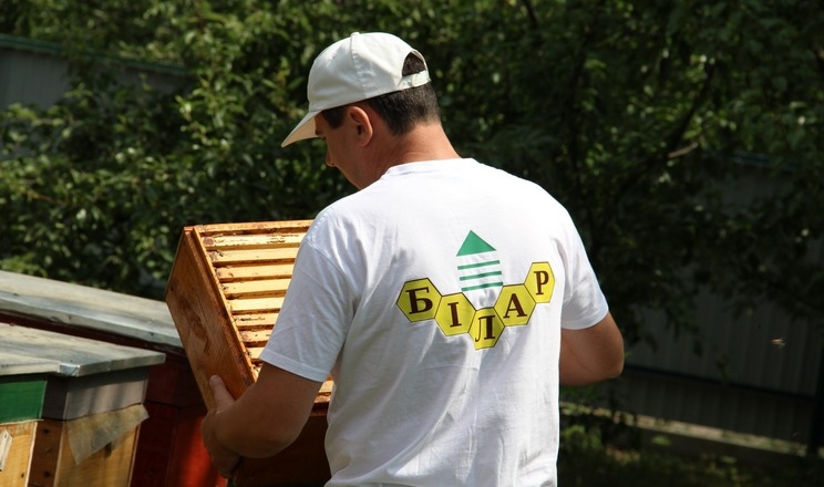 Виробник меду створив кооператив, який об’єднає бджолярів Чернігівщини та Вінниччини