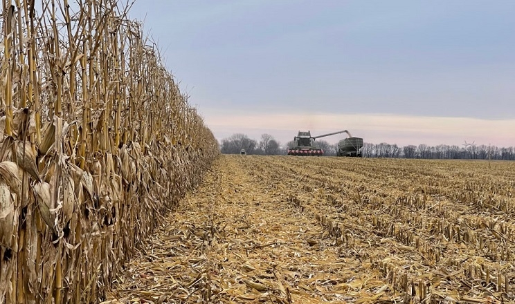 Як корелюється вологовіддача кукурудзи з вологістю й температурою повітря
