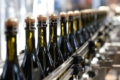 Виноробне господарство оштрафували за італійську назву вина