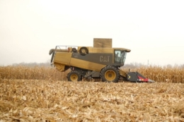 Компанія «ТАС Агро» завершила збирання кукурудзи: названа врожайність
