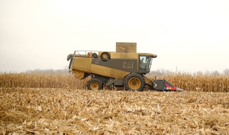 Компанія «ТАС Агро» завершила збирання кукурудзи: названа врожайність