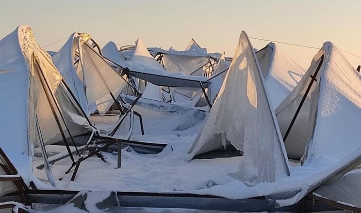 Небувалі морози знищили врожай в теплицях півдня Казахстану