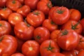 Баклажани удвічі-втричі дешевші томатів