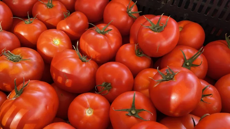 Баклажани удвічі-втричі дешевші томатів