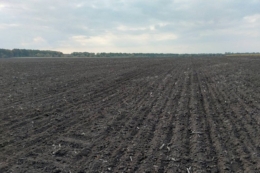 Переваги комбінованого безвідвального обробітку ґрунту назвав фермер