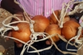 Європейці починають вирощувати цибулю в Сенегалі