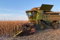 «Агротрейд» обмолотив 86% посівів кукурудзи: якість зерна відмінна