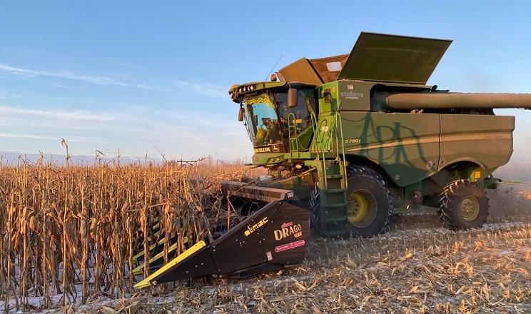 «Агротрейд» обмолотив 86% посівів кукурудзи: якість зерна відмінна