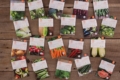Міжнародні донори передають насіння овочів на деокуповані території