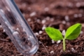 Precision Planting впроваджує систему відбору проб ґрунту Radicle Agronomics