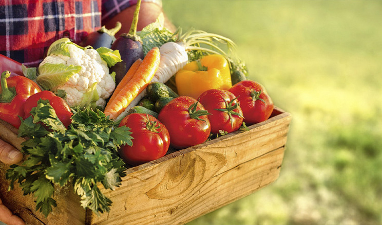 Фермери-органіки згуртувалися у постачанні овочів до супермаркетів