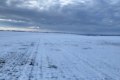 Погода в Україні: часом невеликий сніг