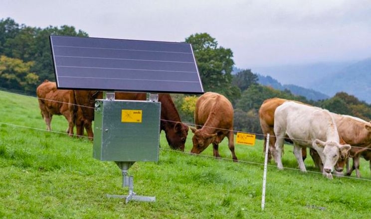 Для живлення електропастухів випустили сонячну батарею з акумулятором