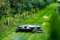Робот Scarabaeus мульчує сади й виноградники