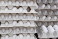 Експорт яєць у січні приніс Україні на 67,6% більше виручки