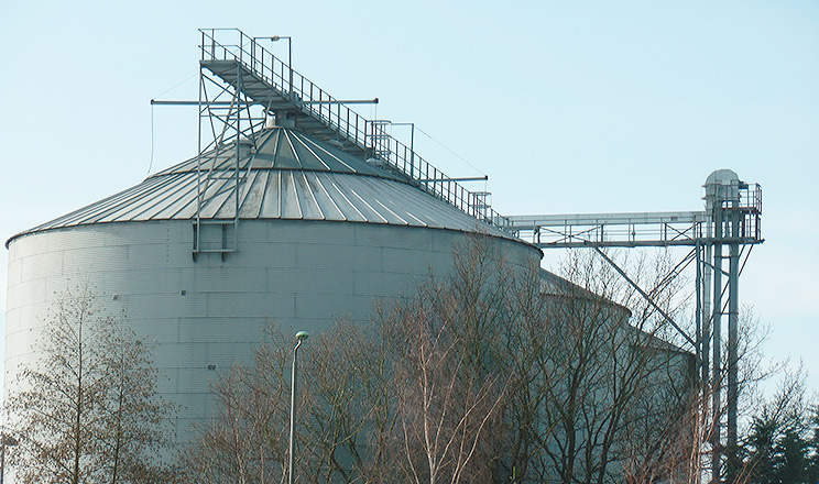 Сучасні технології допомагають убезпечити зерно від карантинних організмів протягом 3–12 місяців