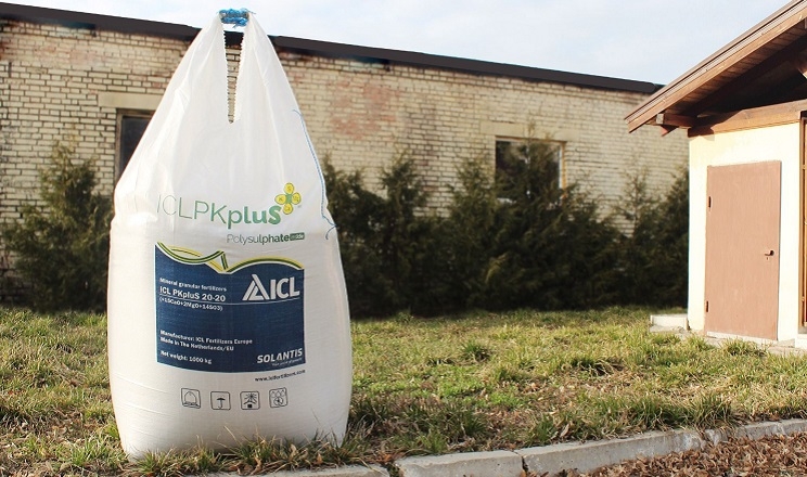 Фосфор і калій зі складу міндобрив ICL PKpluS стають доступними для рослин практично відразу