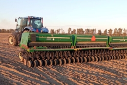 HarvEast Holding сіє нішеві культури на Київщині