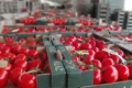 Україна стала другим імпортером турецьких томатів