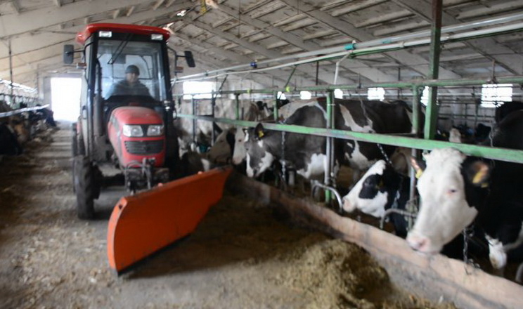 Баришівська зернова компанія механізує тваринницькі ферми