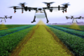 Робота дрона-обприскувача у фундуковому саду збільшила врожайність до 30%