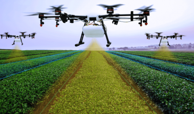 Робота дрона-обприскувача у фундуковому саду збільшила врожайність до 30%