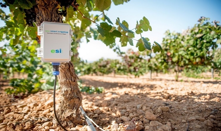 В Іспанії розробляють датчики для покращення кліматичних умов