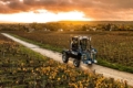 New Holland презентує футуристичний Straddle Tractor для виноградників
