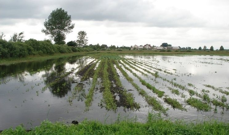 В Україні залишаються підтопленими майже 9 тис. га сільгоспугідь