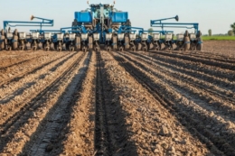 Сівба ярих стартувала на Буковині: посіяли 1,1 тис. га із запланованих 17,6 тис. га