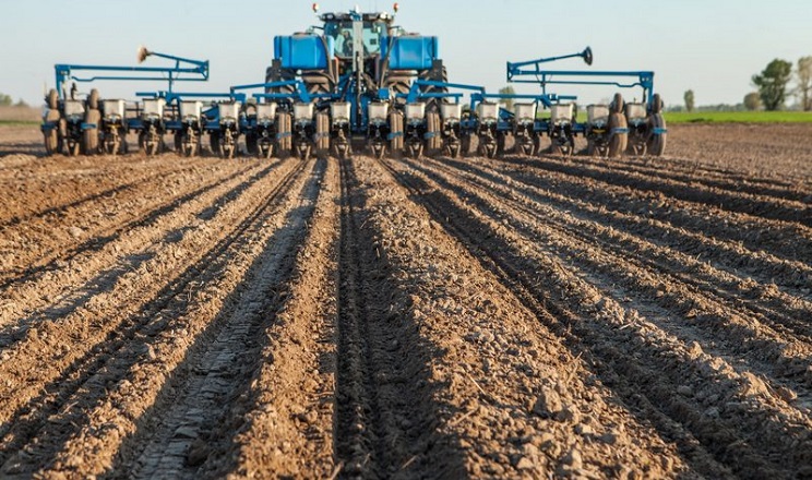 Сівба ярих стартувала на Буковині: посіяли 1,1 тис. га із запланованих 17,6 тис. га