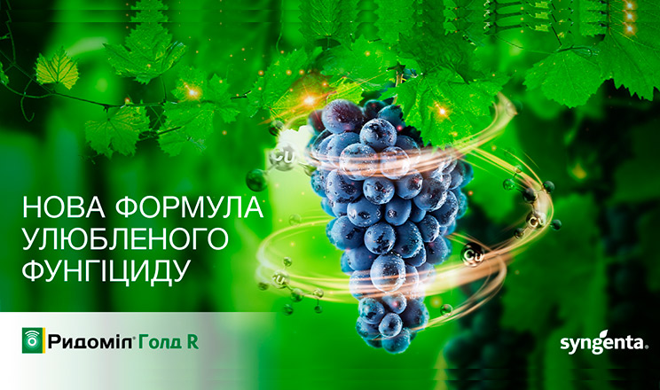 Ридоміл® Голд R — фунгіцид для захисту винограду з експортними можливостями