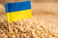 Україна експортувала понад 26,7 млн тонн зерна
