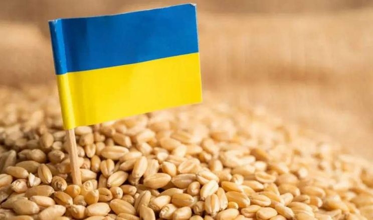Україна експортувала майже 14 млн тонн зерна