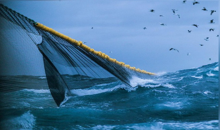 Оновлено правила промислового рибальства у внутрішніх водоймах