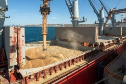 Експорт зерна перевищив 49,5 млн тонн