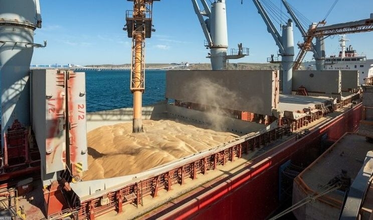 Експорт зерна перевищив 27 млн тонн