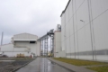Bayer інвестує 60 млн євро в український насінницький завод