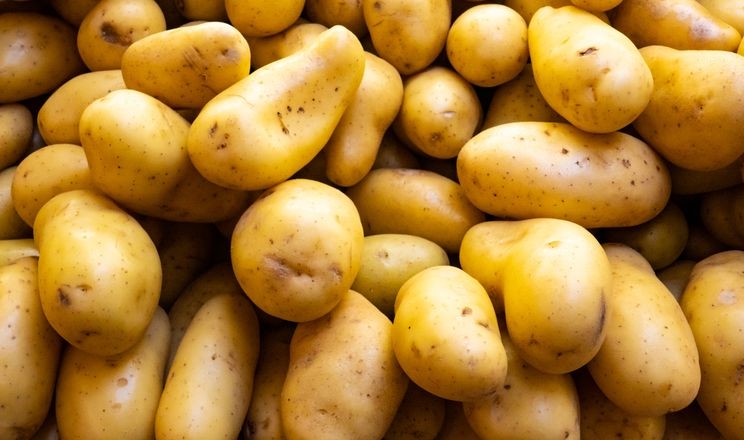 Єгипет нарощує експорт картоплі в ЄС
