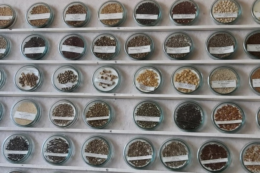 Парламент ратифікував Міжнародний договір про генетичні ресурси рослин