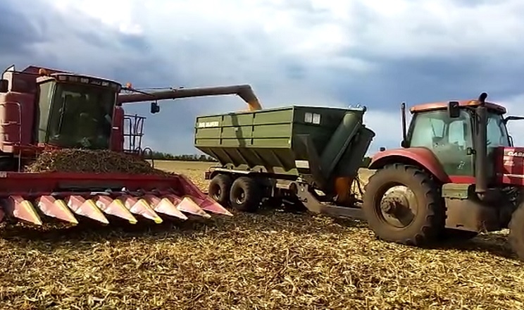 Господарство «Коновалівка-Агро» завершило збирання кукурудзи врожаю 2022 року