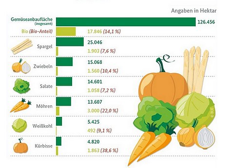 Вирощування овочів у Німеччині скорочується