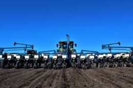 Майже мільйон гектарів ярих культур уже засіяли в Україні