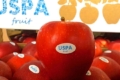 USPA Fruit взяла участь у шести міжнародних виставках з початку сезону