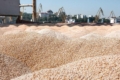 Україна експортувала майже 3 млн тонн зерна
