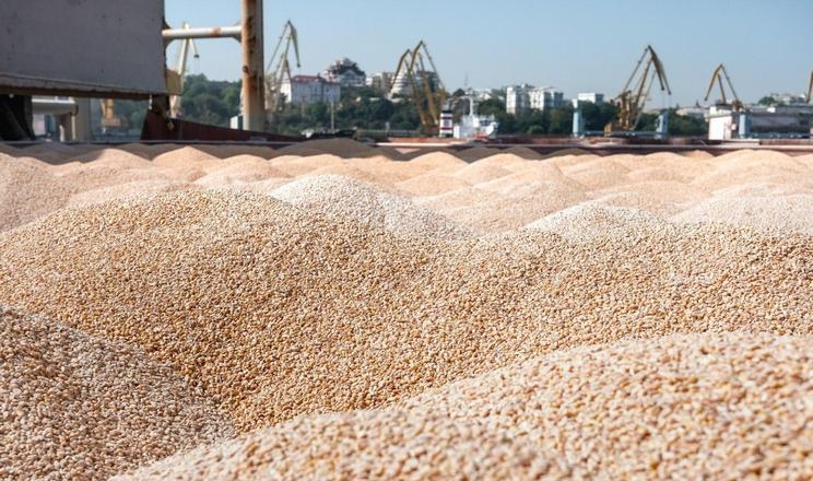 Україна експортувала майже 3 млн тонн зерна